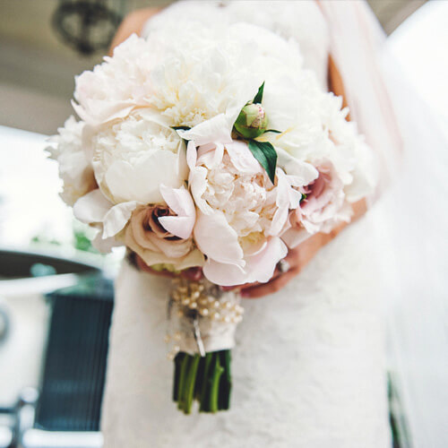 limousine deals san jose